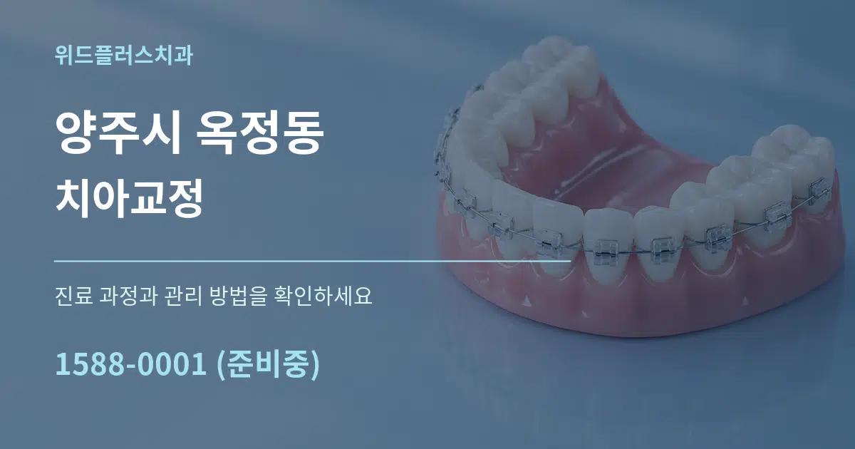 양주시 옥정동 치아교정 작업 조건 안내 그래픽