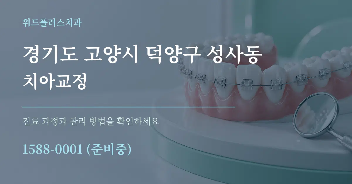 경기도 고양시 덕양구 성사동 치아교정 서비스 이용 안내 그래픽