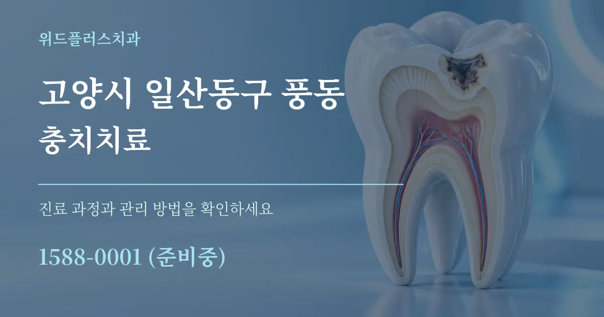 고양시 일산동구 풍동 충치치료 작업 조건 안내 그래픽
