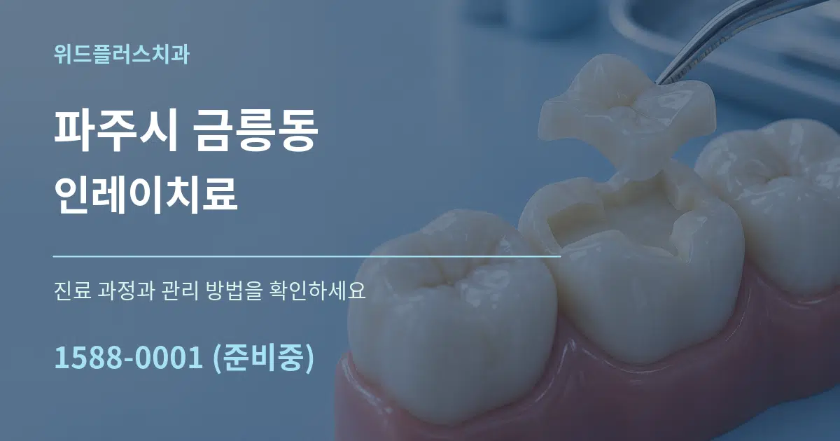 파주시 금릉동 인레이치료 서비스 이용 안내 그래픽