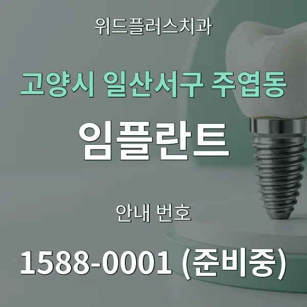 고양시 일산서구 주엽동 임플란트 대표 안내 그래픽