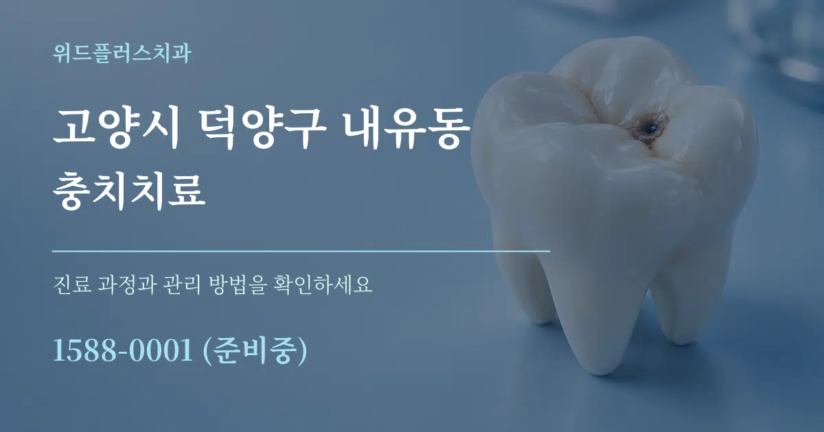 고양시 덕양구 내유동 충치치료 서비스 이용 안내 그래픽