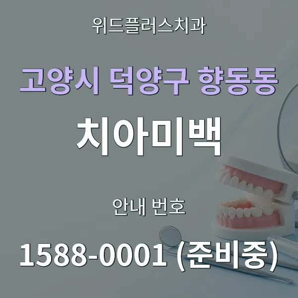 고양시 덕양구 향동동 치아미백 대표 안내 그래픽