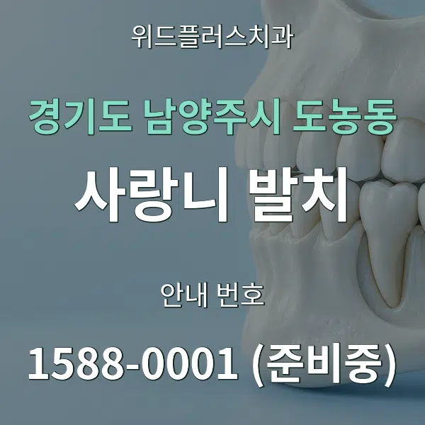 경기도 남양주시 도농동 사랑니 발치 대표 안내 그래픽