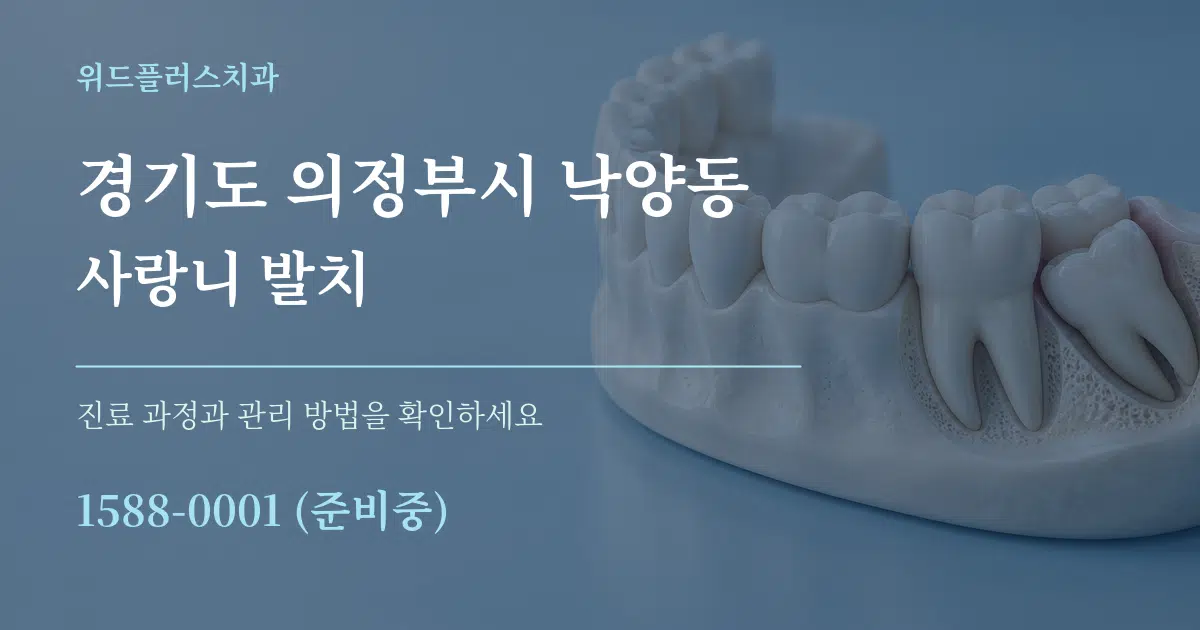 경기도 의정부시 낙양동 사랑니 발치 작업 조건 안내 그래픽