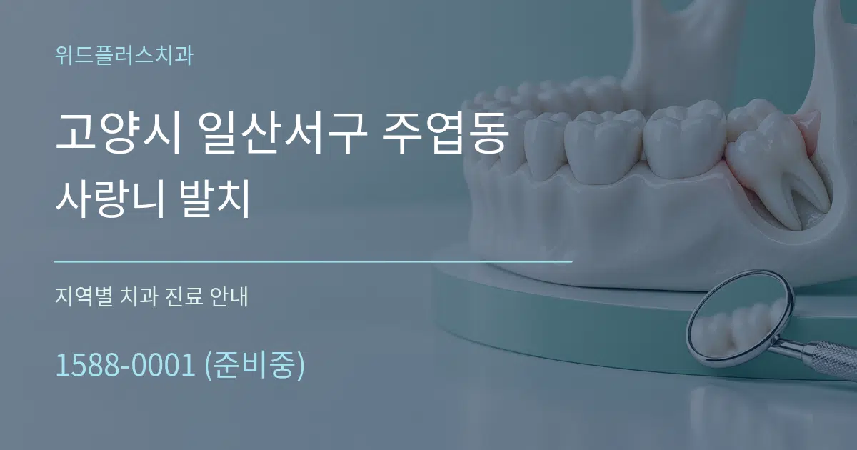고양시 일산서구 주엽동 사랑니 발치 대표 안내 그래픽