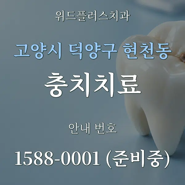 고양시 덕양구 현천동 충치치료 대표 안내 그래픽
