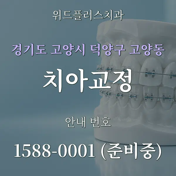 경기도 고양시 덕양구 고양동 치아교정 대표 안내 그래픽