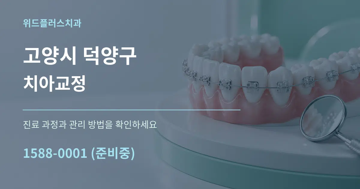고양시 덕양구 치아교정 서비스 이용 안내 그래픽