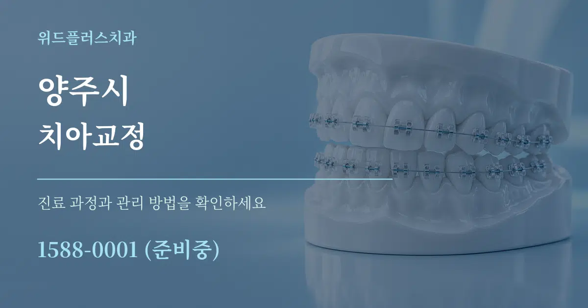 양주시 치아교정 서비스 이용 안내 그래픽