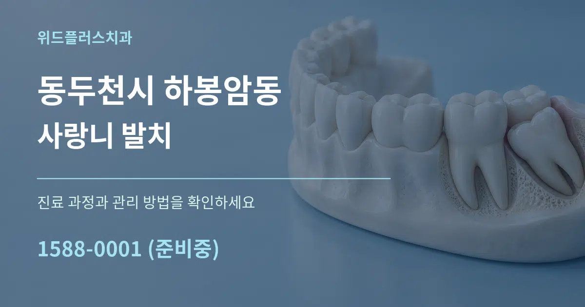 동두천시 하봉암동 사랑니 발치 서비스 이용 안내 그래픽