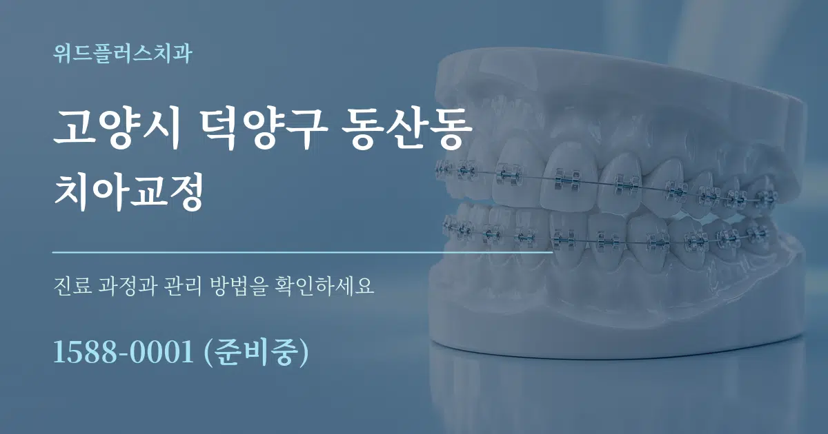 고양시 덕양구 동산동 치아교정 작업 조건 안내 그래픽