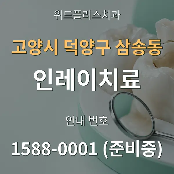 고양시 덕양구 삼송동 인레이치료 대표 안내 그래픽