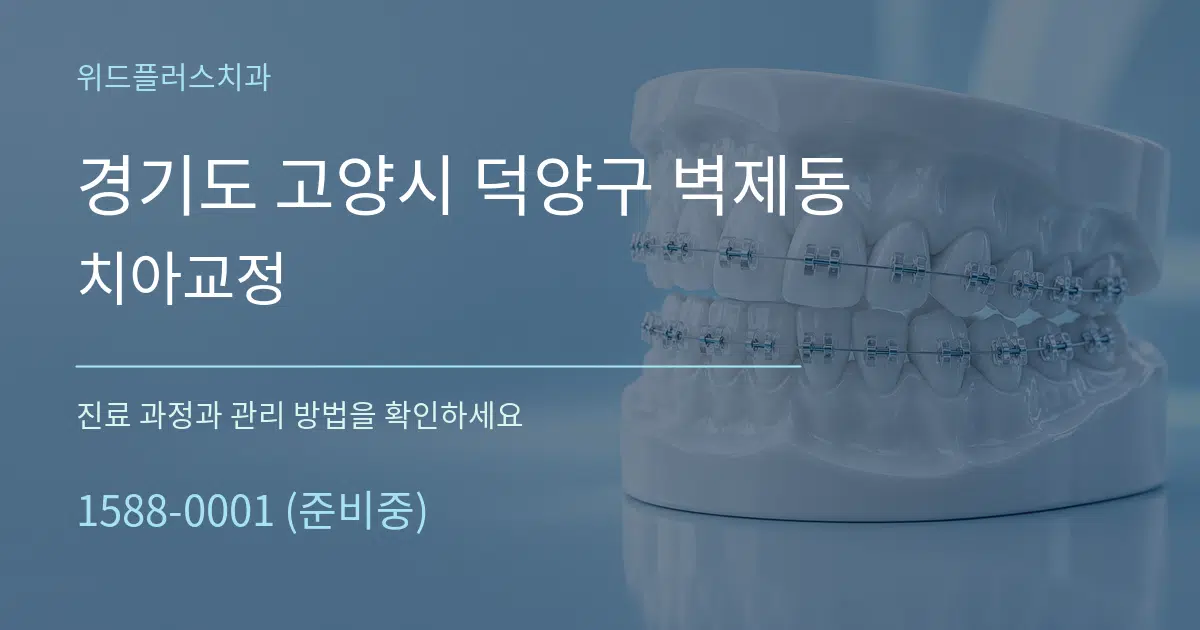 경기도 고양시 덕양구 벽제동 치아교정 서비스 이용 안내 그래픽