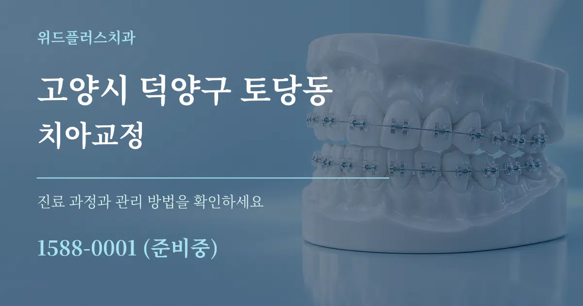 고양시 덕양구 토당동 치아교정 서비스 이용 안내 그래픽
