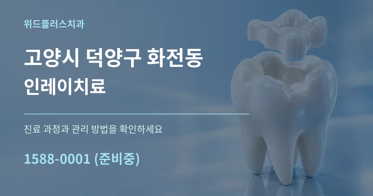 고양시 덕양구 화전동 인레이치료 서비스 이용 안내 그래픽