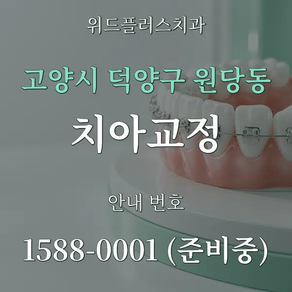 고양시 덕양구 원당동 치아교정 대표 안내 그래픽
