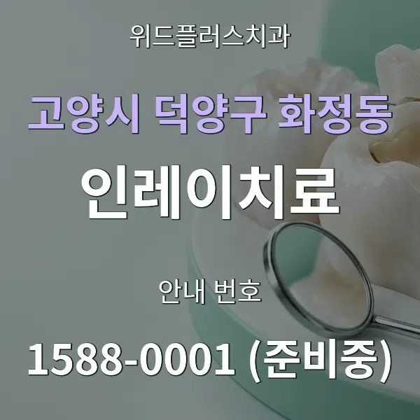 고양시 덕양구 화정동 인레이치료 대표 안내 그래픽