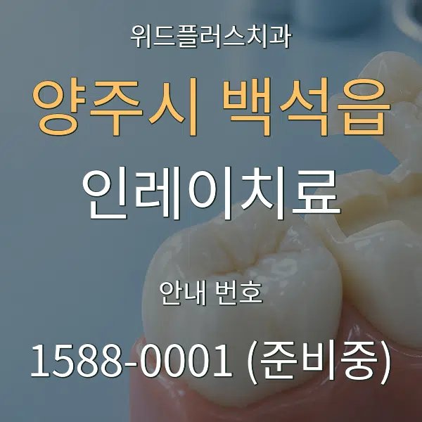 양주시 백석읍 인레이치료 대표 안내 그래픽