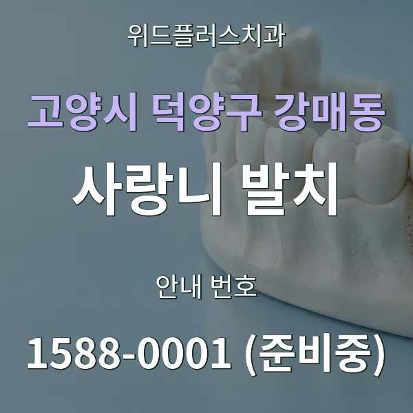 고양시 덕양구 강매동 사랑니 발치 대표 안내 그래픽