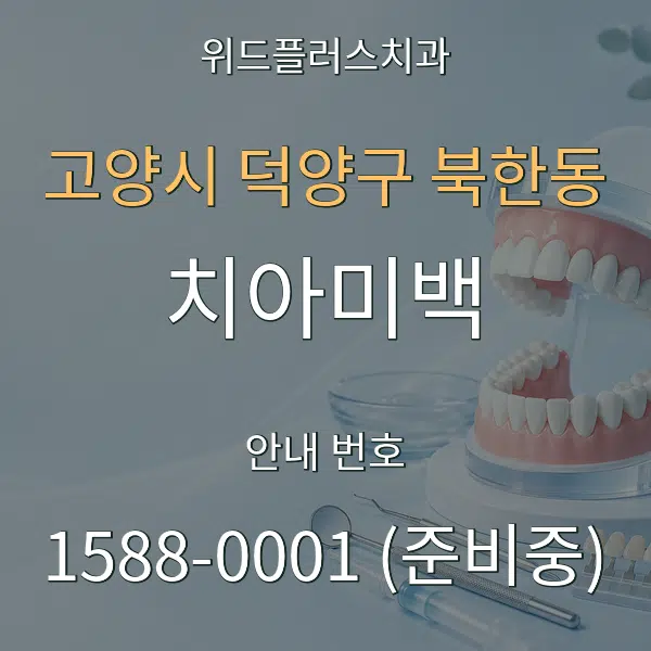 고양시 덕양구 북한동 치아미백 대표 안내 그래픽