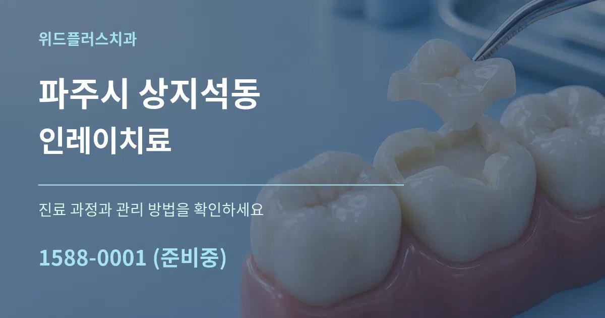 파주시 상지석동 인레이치료 서비스 이용 안내 그래픽