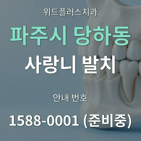 파주시 당하동 사랑니 발치 대표 안내 그래픽