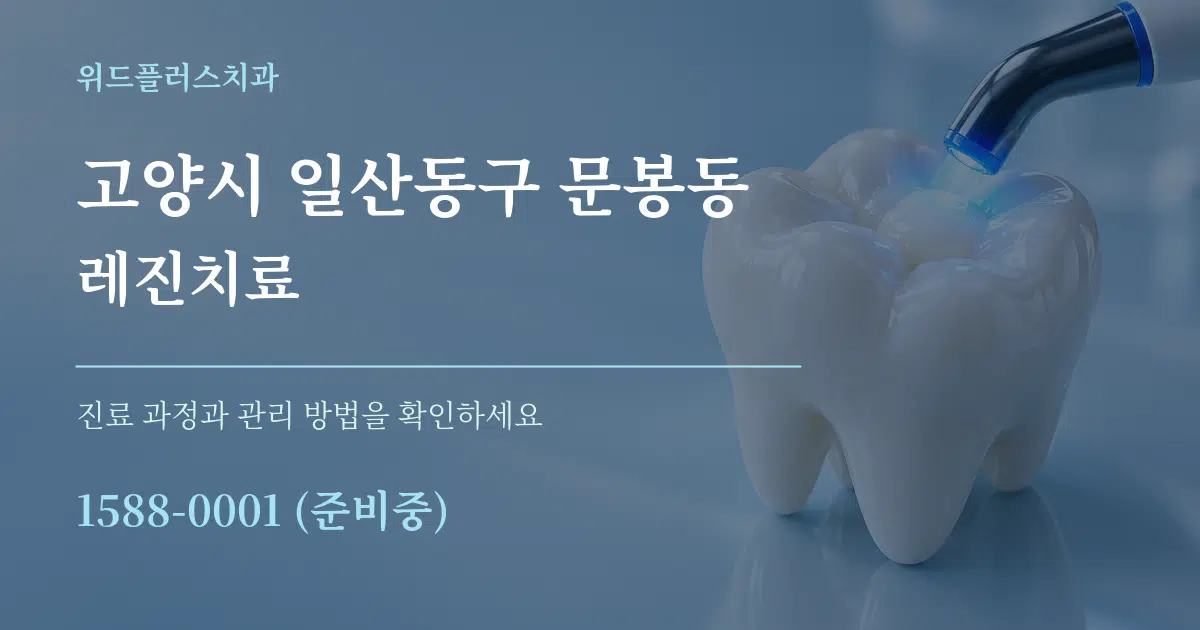 고양시 일산동구 문봉동 레진치료 서비스 이용 안내 그래픽
