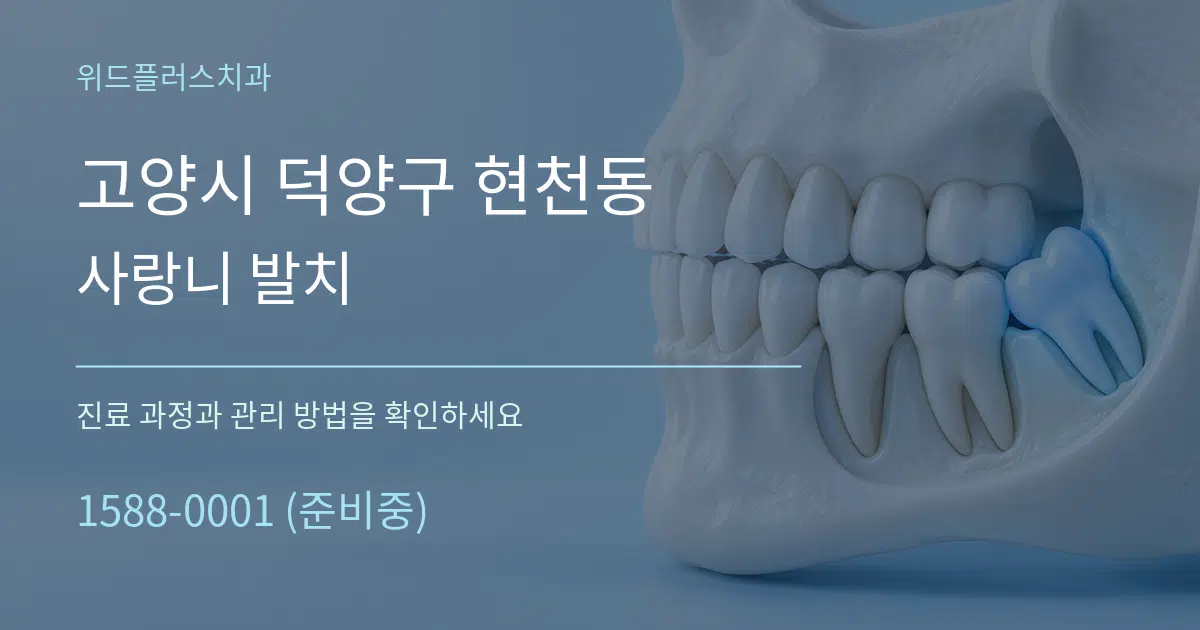 고양시 덕양구 현천동 사랑니 발치 작업 조건 안내 그래픽
