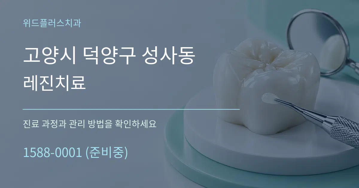 고양시 덕양구 성사동 레진치료 서비스 이용 안내 그래픽
