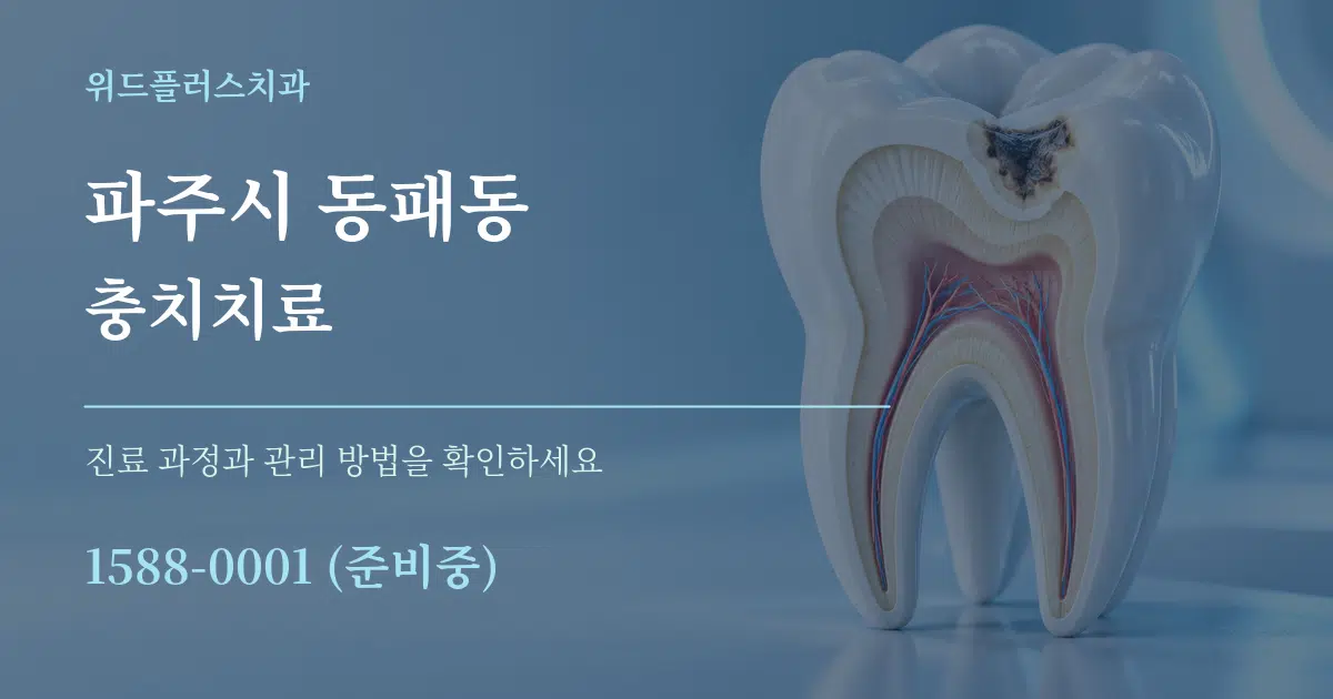 파주시 동패동 충치치료 작업 조건 안내 그래픽