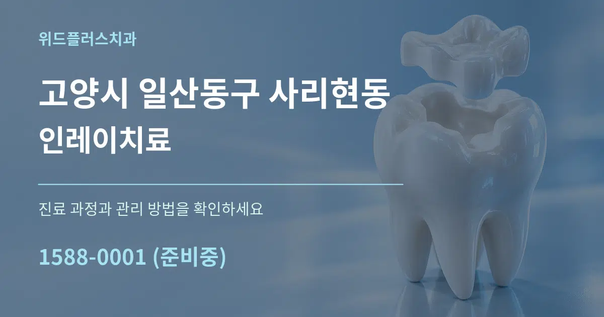 고양시 일산동구 사리현동 인레이치료 서비스 이용 안내 그래픽