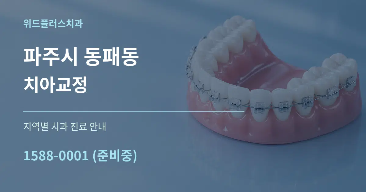 파주시 동패동 치아교정 대표 안내 그래픽