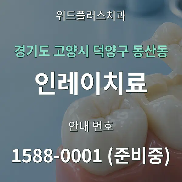 경기도 고양시 덕양구 동산동 인레이치료 대표 안내 그래픽