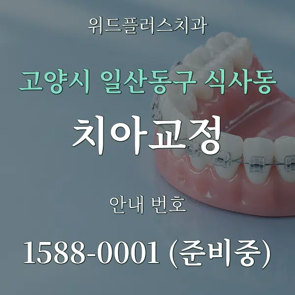고양시 일산동구 식사동 치아교정 대표 안내 그래픽