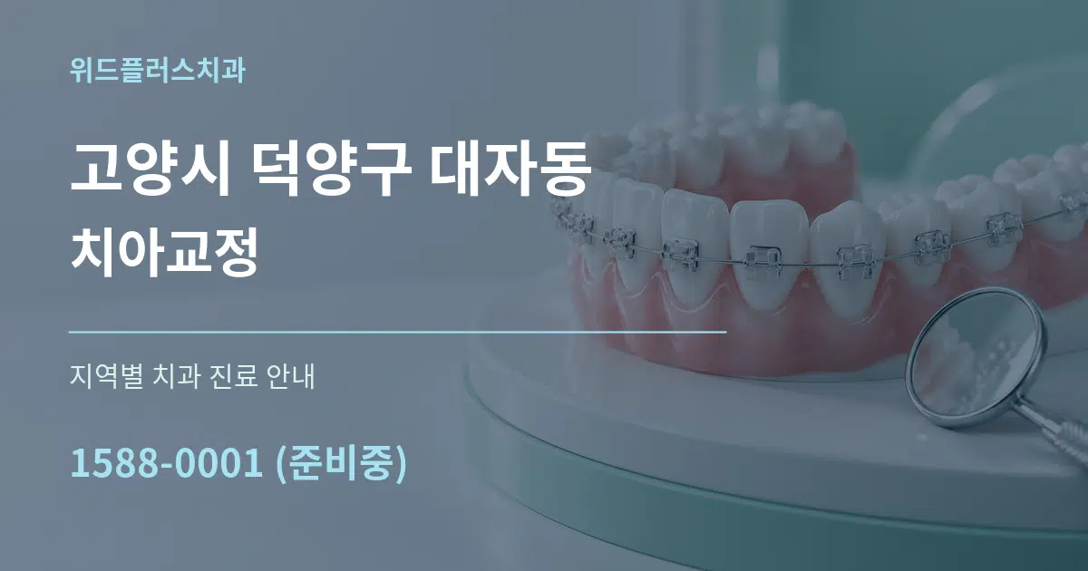 고양시 덕양구 대자동 치아교정 대표 안내 그래픽