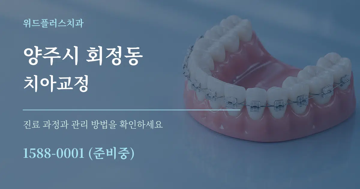 양주시 회정동 치아교정 작업 조건 안내 그래픽