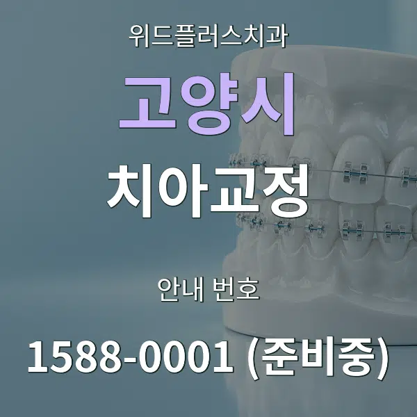 고양시 치아교정 대표 안내 그래픽