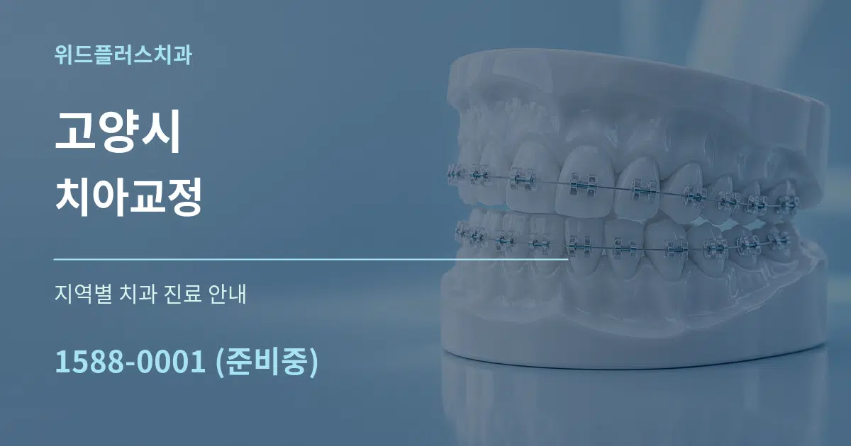 고양시 치아교정 대표 안내 그래픽