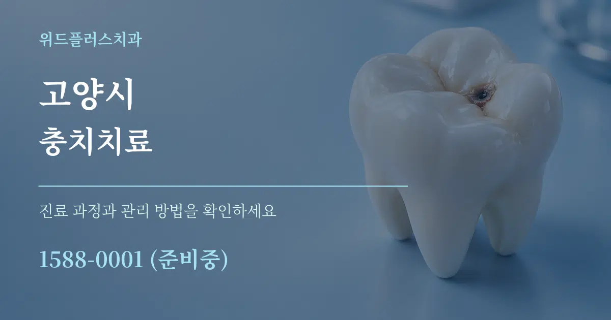 고양시 충치치료 서비스 이용 안내 그래픽