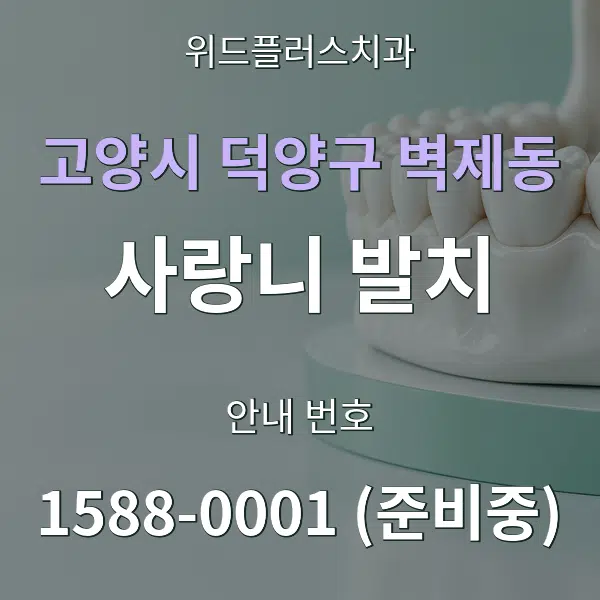 고양시 덕양구 벽제동 사랑니 발치 대표 안내 그래픽
