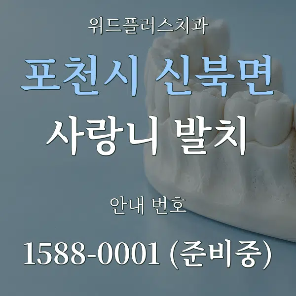 포천시 신북면 사랑니 발치 대표 안내 그래픽