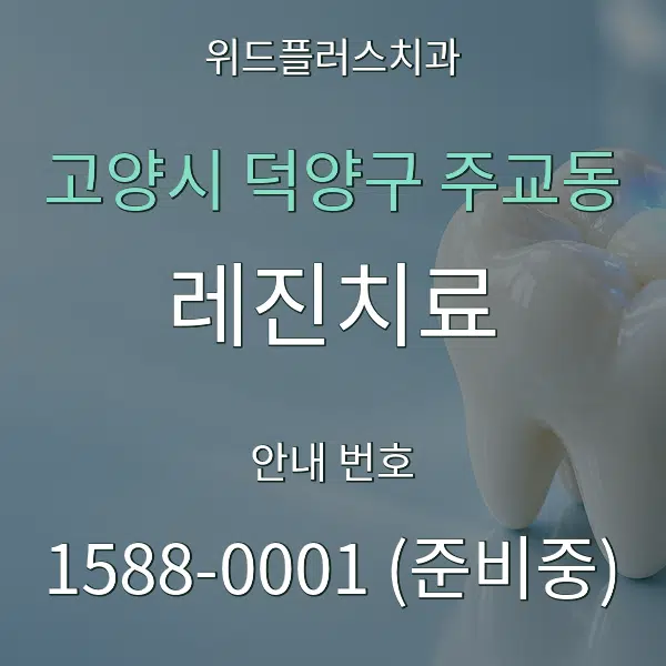 고양시 덕양구 주교동 레진치료 대표 안내 그래픽