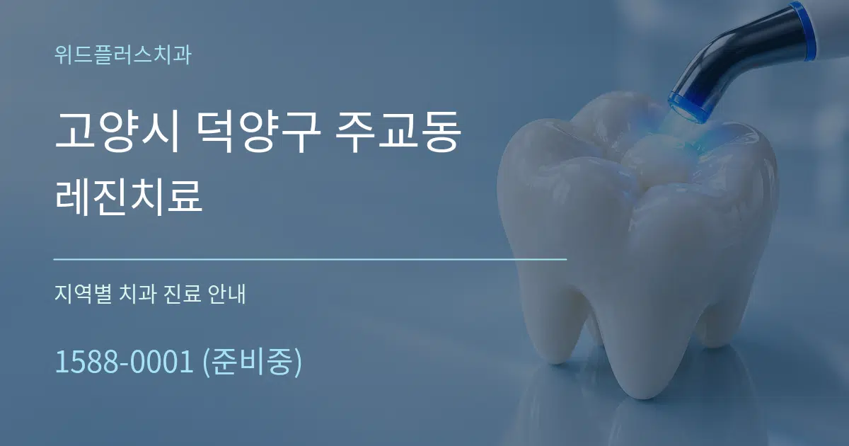 고양시 덕양구 주교동 레진치료 대표 안내 그래픽