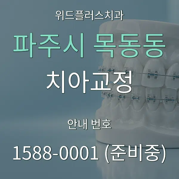 파주시 목동동 치아교정 대표 안내 그래픽