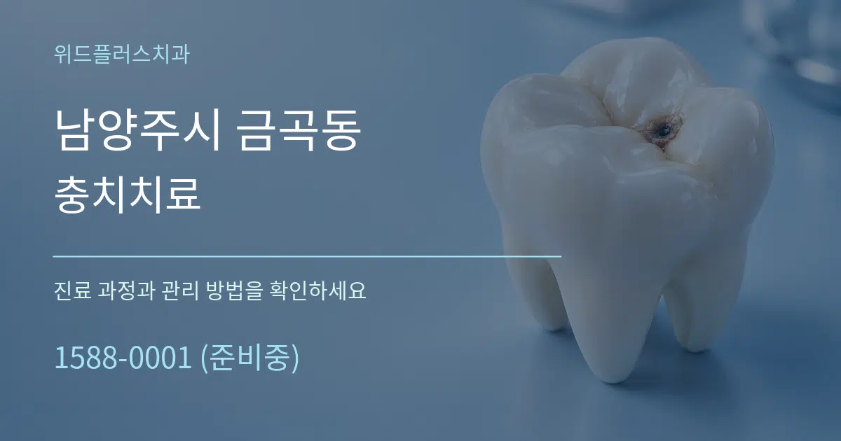 남양주시 금곡동 충치치료 서비스 이용 안내 그래픽