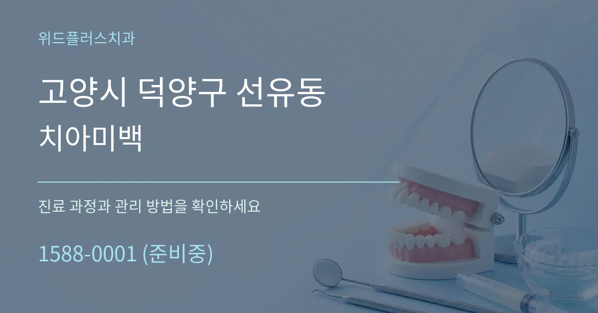 고양시 덕양구 선유동 치아미백 서비스 이용 안내 그래픽
