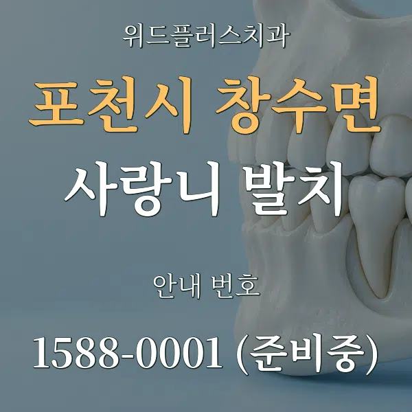 포천시 창수면 사랑니 발치 대표 안내 그래픽