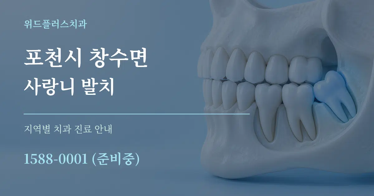 포천시 창수면 사랑니 발치 대표 안내 그래픽