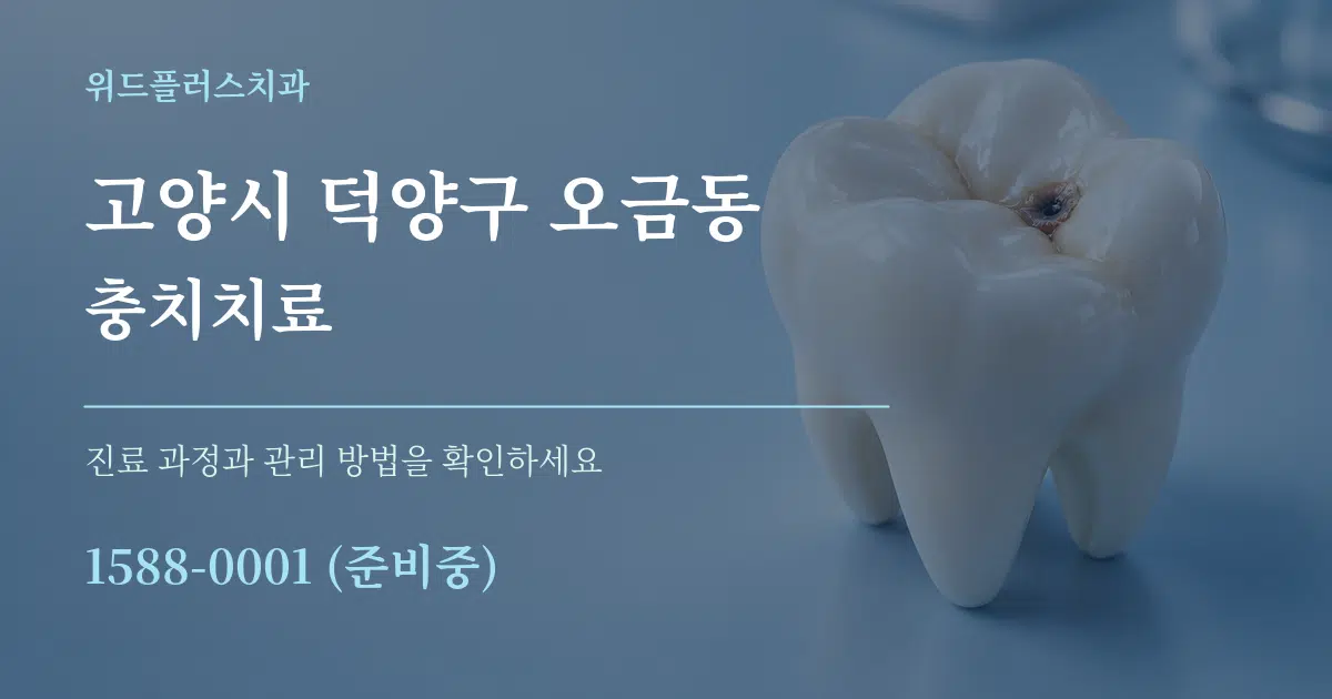 고양시 덕양구 오금동 충치치료 서비스 이용 안내 그래픽